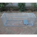 Large Animal Trap Cage humane live animal trap cage animal trap cage Supplier